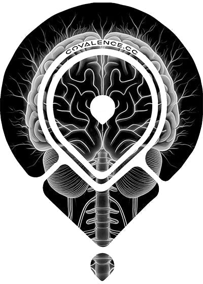 Carry Confidence: The Cognitive Power of a Bag That Works for You